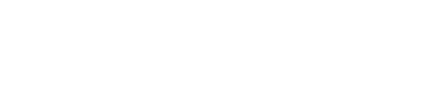 The Business Game
